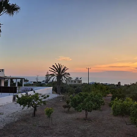 Nireas * Paphos
