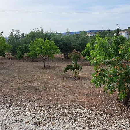 Nireas Villa Paphos